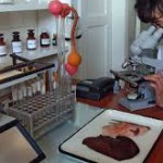 Россия передала Кыргызстану ветеринарное оборудование на 73 млн рублей