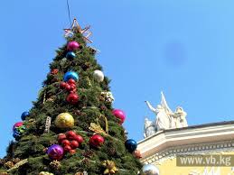 Мэрия установит 13 новогодних елок в Бишкеке