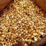 Комиссия приостановила действие лицензий 2 недропользователей на месторождения россыпного золота