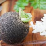 Какая польза от горькой редьки?