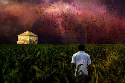 Самые интересные факты о сне