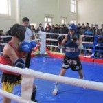 В Бишкеке подвели итоги первенства КР по тайскому боксу WMF