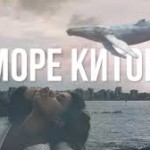 Куда звонить, если вы столкнулись с «группами смерти». Номера телефонов