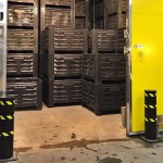 Огромное фруктохранилище открылось в Балыкчи — проект стоит $4,5 млн