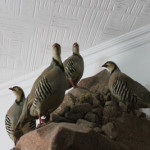 Право на выстрел