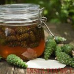 Инсульт боится сосновых шишек