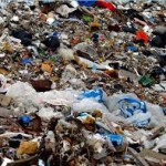 Труп на помойке