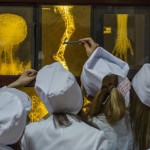 Выпускникам медицинских вузов теперь будет легче устроиться на работу