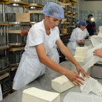 Для ошан появились новые рабочие места — открылся завод