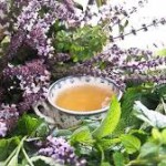 Народные рецепты Воспаление лёгких, или пневмония