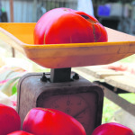 Томаты-гиганты родом из Ивановки