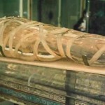 В Монголии обнаружили мумию. Возраст находки — 2 тысячи лет