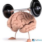 Народные средства для улучшения мозгового кровообращения