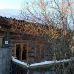 Жительница Тюмени приютила 168 мигрантов в аварийной избе