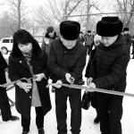 Как сельчане мост построили