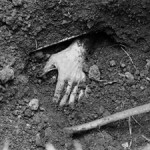 Любил сильно, прикопал неглубоко