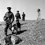 Бывших пограничников не бывает