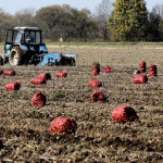 Какая поддержка будет оказана фермерам, рассказал премьер-министр
