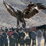 «Вселенная кочевников». Сколько потратят на проживание и питание гостей