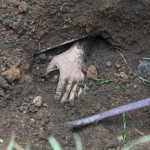 Убили и закопали