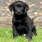 У младших братьев появился шанс на спасение