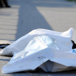 В Аксы 12-летний мальчик погиб во время выпаса скота