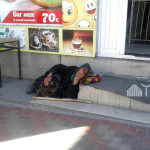 Занимающаяся попрошайничеством Ашим апа построила внукам дом в пригороде Оша