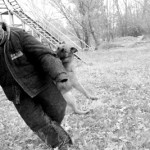 Четвероногие враги преступников