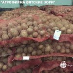 Из-за запрета Узбекистана на ввоз кыргызского картофеля фермеры терпят убытки