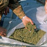 Кто закроет дороги смерти?