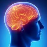 Очищение сосудов головного мозга