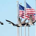 МИД Кыргызстна недоволен докладом Госдепа США. Причем здесь НПО?