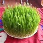 Праздник единства и дружбы отметили в Чон-Кемине