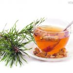 Хвойный отвар для лечения подагры