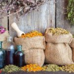 Лечебные травы от простатита и аденомы