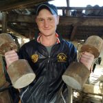 Возвращение к истокам