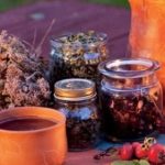 Два «золотых рецепта» травяных сборов против рака