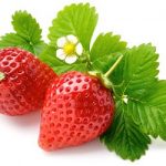 Способы обработки клубники от серой гнили