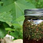 «ЕРОФЕИЧ» – легендарная настойка русского дворянства