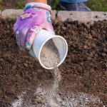 Зола от болезней