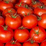 Почему скручиваются листья у помидоров