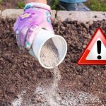 Когда можно и нельзя использовать золу