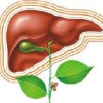 7 лучших народных средств от застоя желчи
