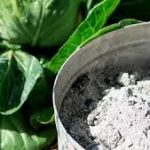 Зола от болезней