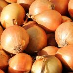 Самые опасные болезни лука и меры борьбы с ними