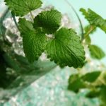 Полезный коктейль для сосудов головы