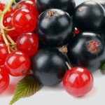 Секрет сладкой смородины – картошка: используем отходы правильно