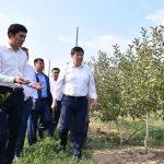 Аграрная отрасль становится привлекательней