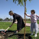 Горожане уже посадили порядка 200 деревьев в новом парке
