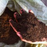 Готовим перегной из травы в мешке